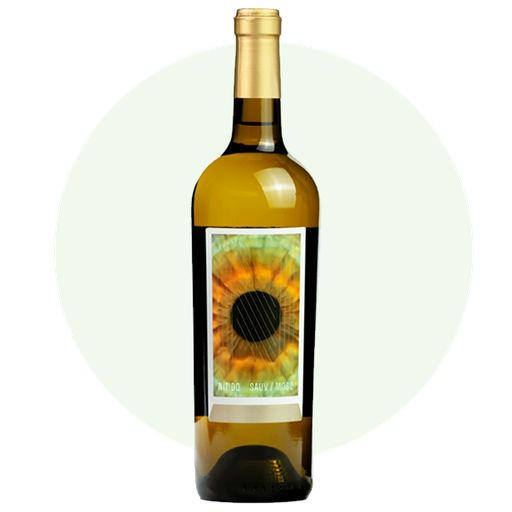 COPA VINO EPICENTRO BLANCO 5oz